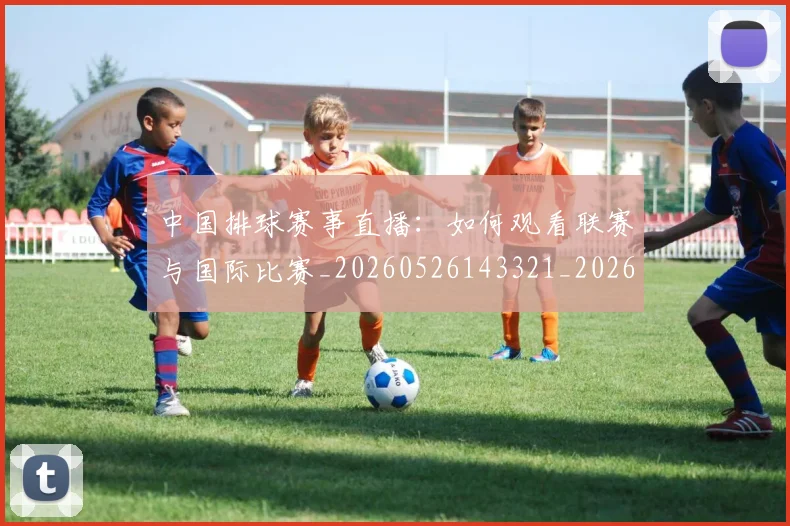 中国排球赛事直播：如何观看联赛与国际比赛_20260526143321_20260703205427